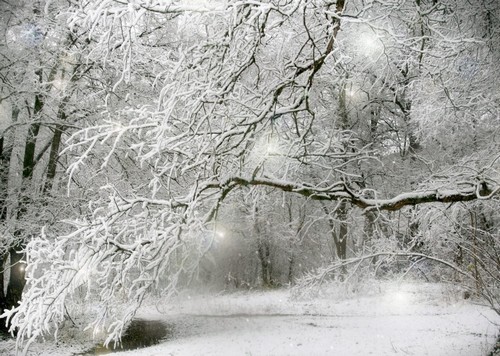 Beautiful-Winter-Wallpaper-Free