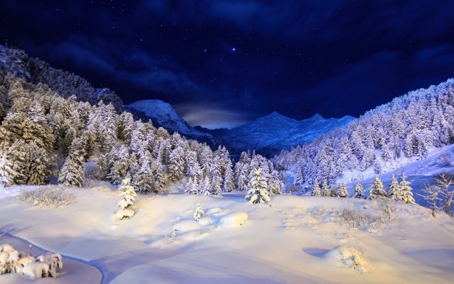 new yearimage_free winter wallpaper
