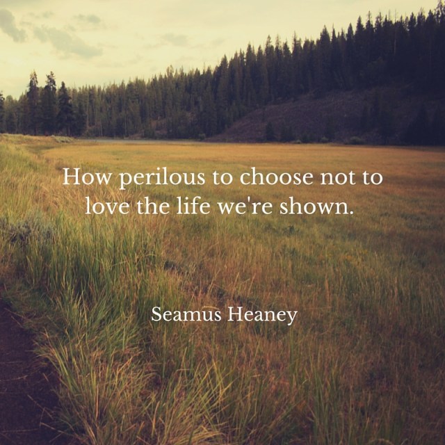 How perilous to choose not to love the life we're shown.